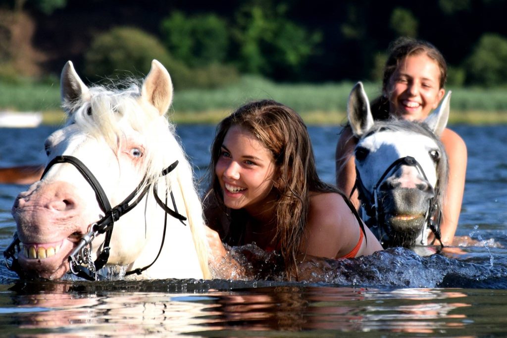 Campamentos de Verano